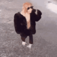 Monkey101