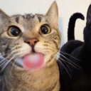 trihardseven_
