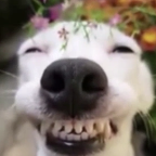 SkiXD